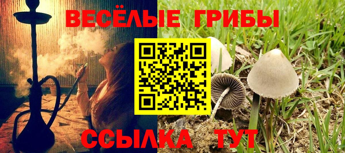 Владикавказ  Галлюциногенные грибы ЛСД  Псилоцибиновые грибы GOLDEN TEACHER  Вход с VPN 